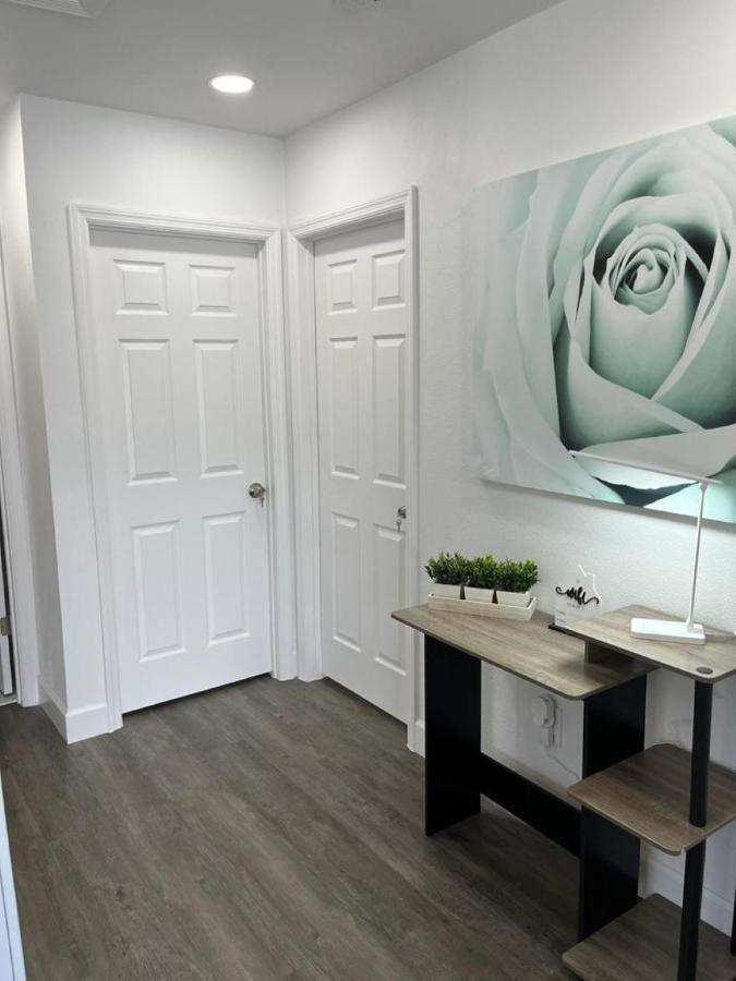 Incredible Comfortable Apartments Near The Airport And Beaches Tampa Extérieur photo